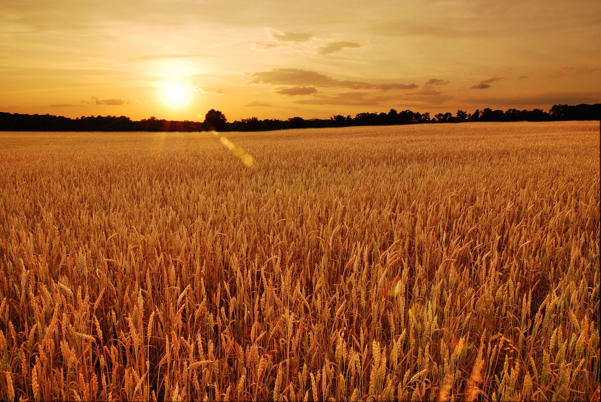 Envirotech Ag Systems